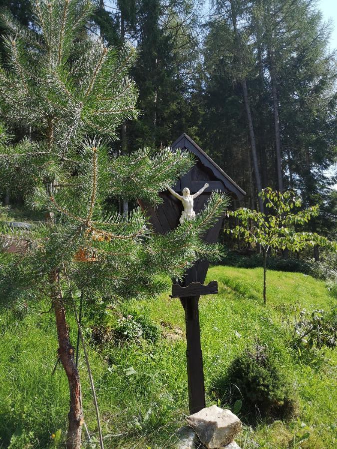 Almhaus Oedlstein Villa Sankt Stefan im Lavanttal Kültér fotó