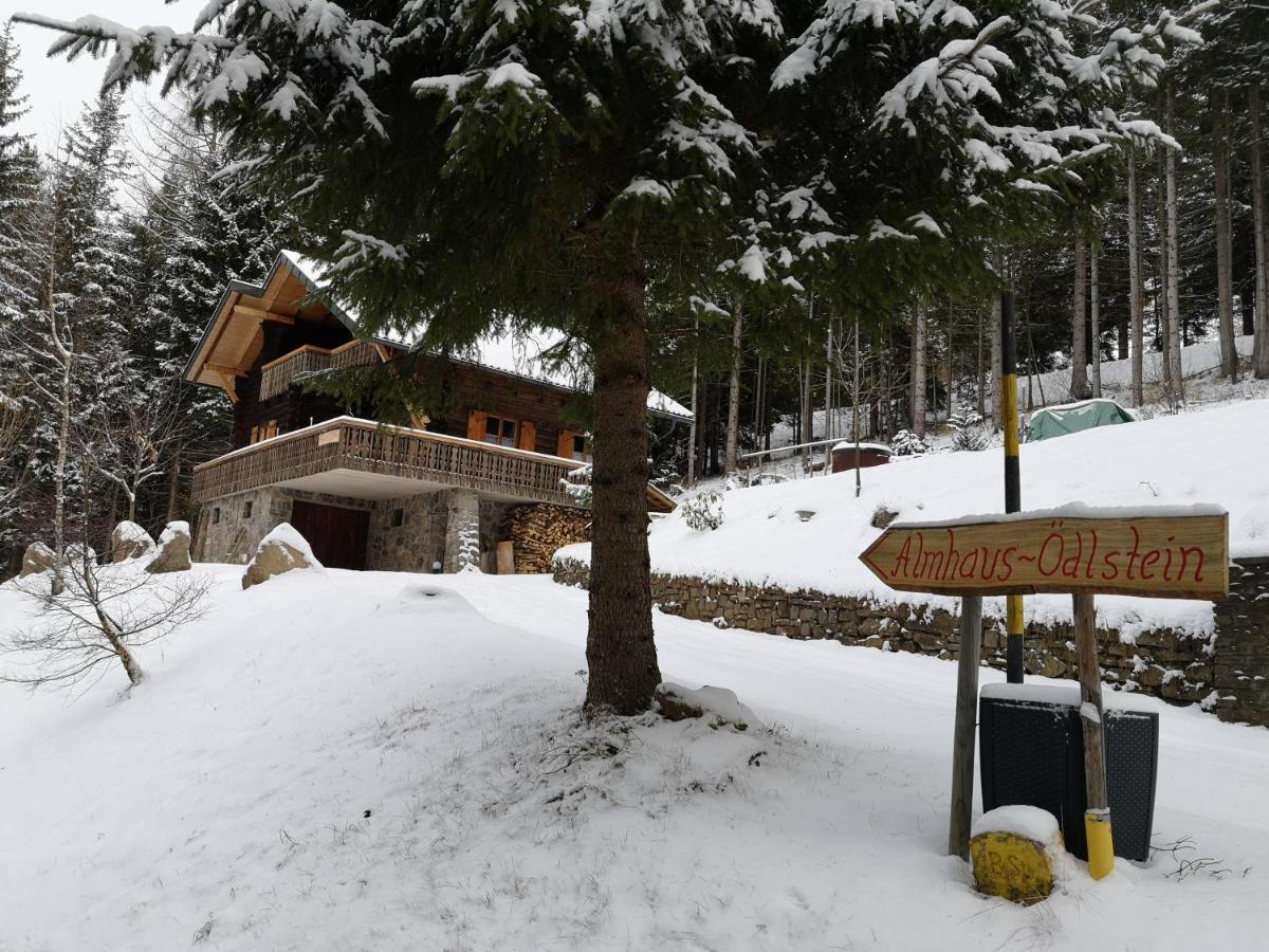 Almhaus Oedlstein Villa Sankt Stefan im Lavanttal Kültér fotó